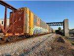 TTGX 697447
